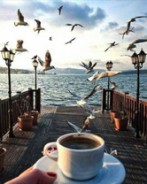 Без бренда «Кофе с видом на чаек» в Подольске