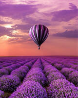 Без бренда «Фиолетовый воздушный шар над фиолетовым лавандовым полем» в Подольске