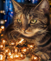 Без бренда «2KXSB-0678» в Подольске