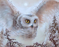 Без бренда «Полярная сова над лесом (20шт)» в Подольске