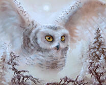 Без бренда «Полярная сова над лесом (20шт)» в Подольске