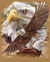 Без бренда «Коробка 20 шт: Орёл крупным планом» в Подольске