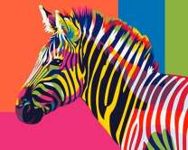 Цветная зебра