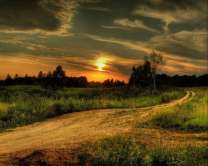 Без бренда «Проселочная дорога на закате» в Подольске