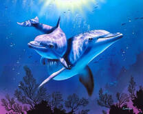 Два дельфина в морской синеве