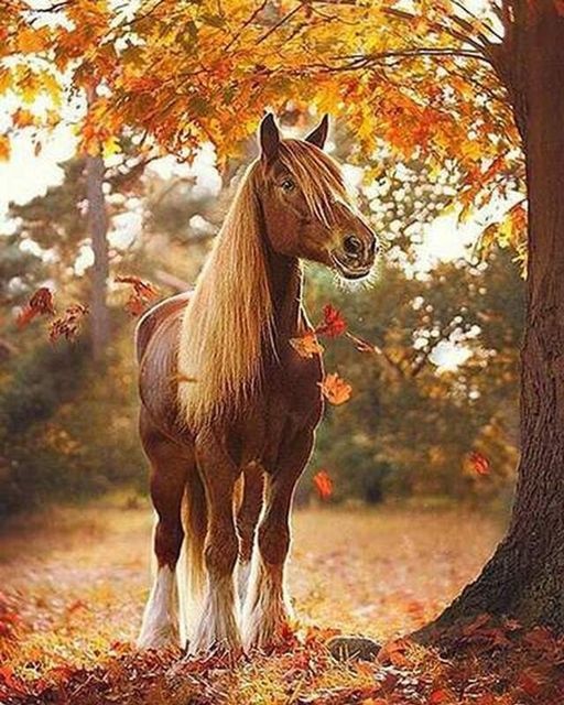 Алмазная мозаика 40x50 Красивый конь под осенним деревом