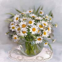 Без бренда «Букет свежих ромашек» в Подольске