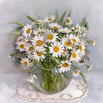 Без бренда «Букет свежих ромашек» в Подольске
