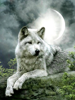 Без бренда «Коробка 25 шт. картин по номерам BOX25-GX21058» в Подольске