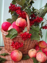 Без бренда «Коробка 25 шт. картин по номерам BOX25-GX5174» в Подольске