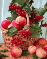 Без бренда «Плетёная корзина с калиной и яблоками» в Подольске