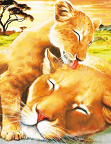 Детская львиная любовь