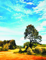 Без бренда «Осенний пейзаж с голубым небом» в Подольске