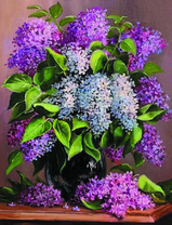 Букет сирени в черной вазе