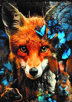 Без бренда «Лиса и синие бабочки» в Подольске