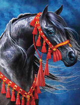 Черная лошадь на синем фоне