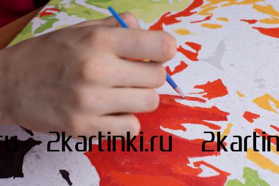 Картина по номерам 40x50 GX25193 Пара котов на цветущем дереве за 890 руб.  в интернет-магазине  Картина по номерам 40x50 Пара котов на цветущем дереве