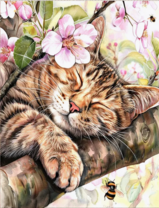 Без бренда «Волосатый котик спит на ветви яблони» в Подольске